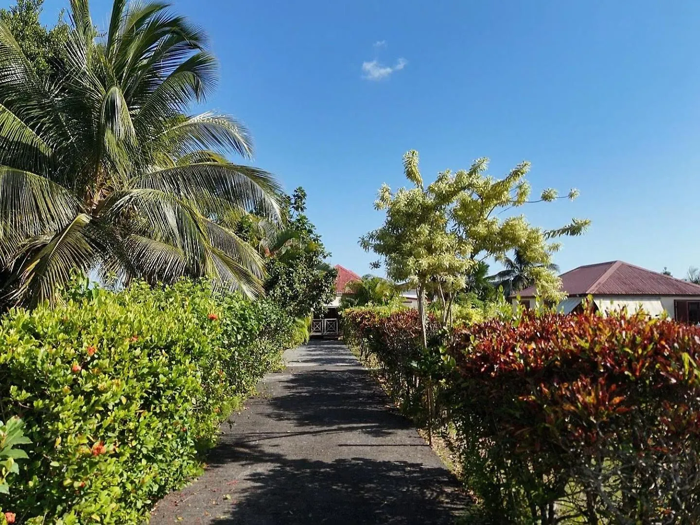 Nyaraló O Logis Zen' Villa Le Moule Guadeloupe
